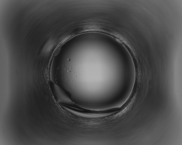 X0000095921145200801111230