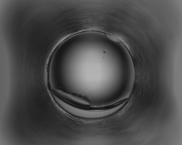 X0000095921151200801111230
