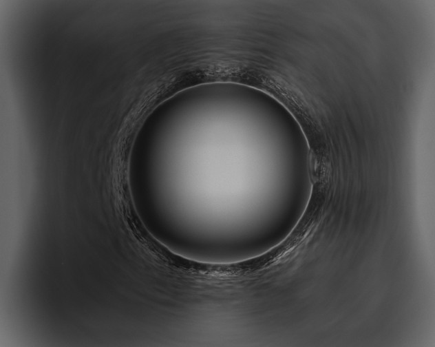 X0000095921153200801111229