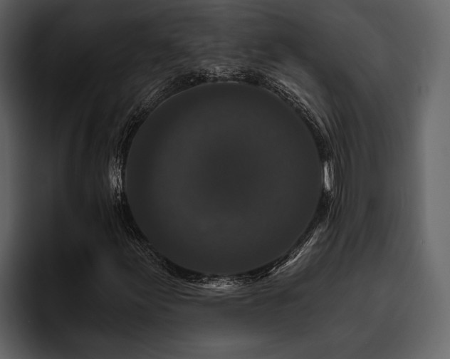 X0000095921155200801111229