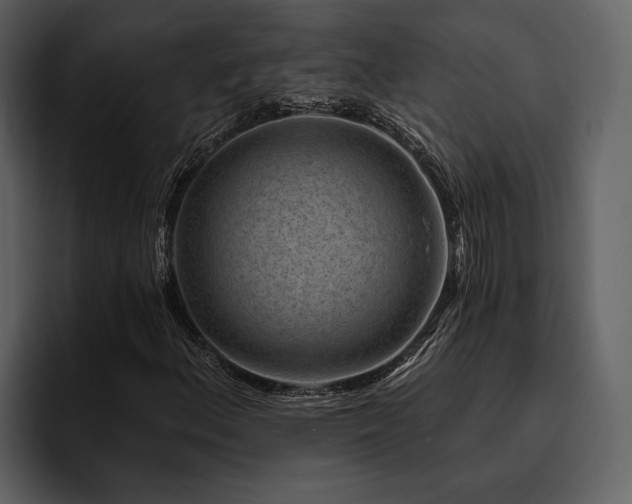 X0000095921156200801111229