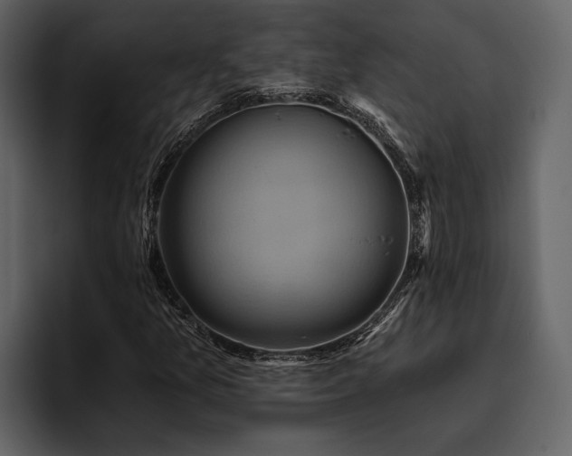 X0000095921157200801111229