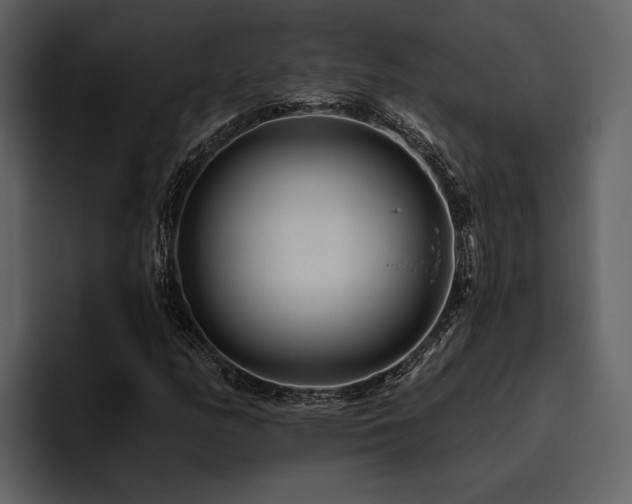 X0000095921158200801111229