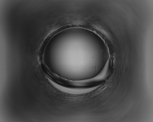 X0000095921160200801111229