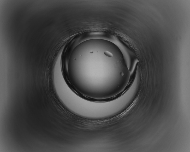 X0000095921161200801111229