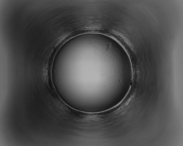 X0000095921162200801111229