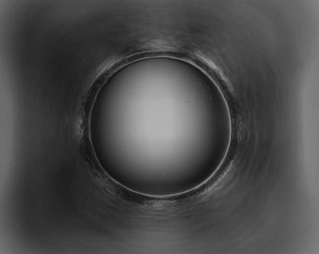 X0000095921163200801111229