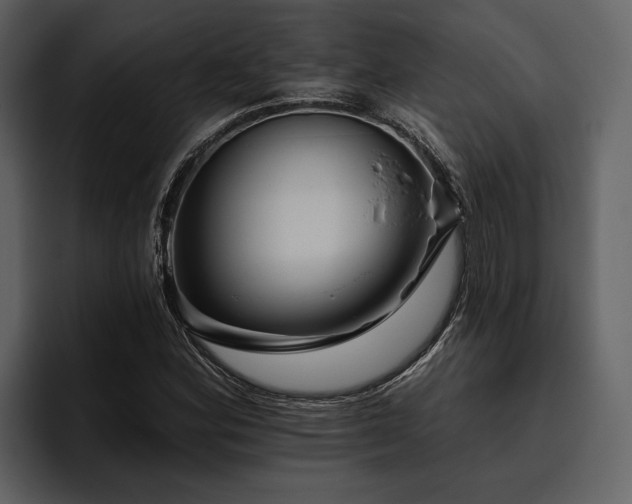 X0000095921164200801111229