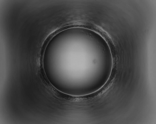 X0000095921166200801111229