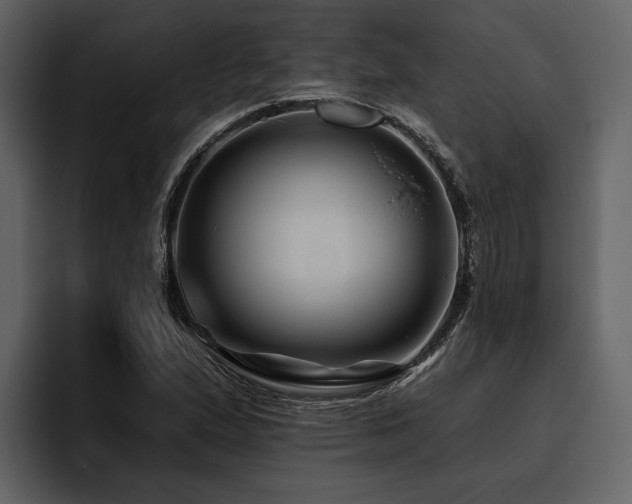 X0000095921167200801111229