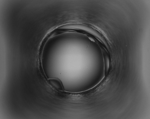 X0000095921168200801111229