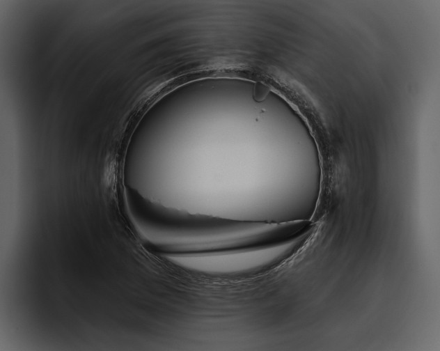 X0000095921169200801111229