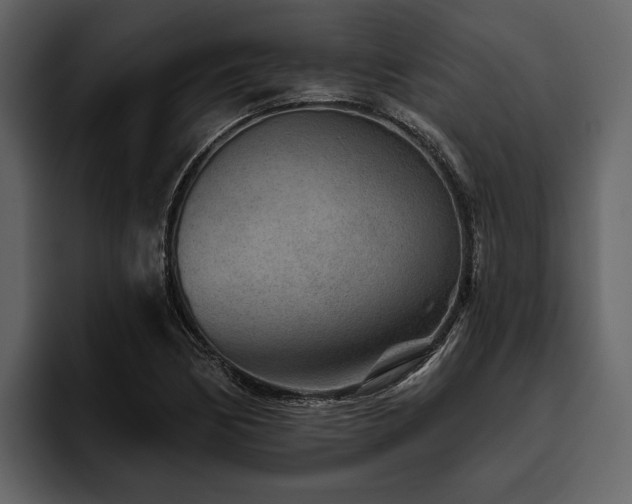 X0000095921170200801111229