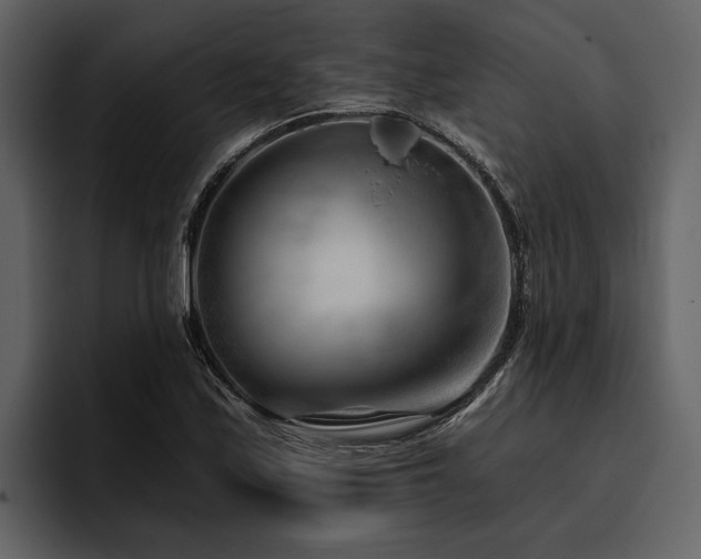 X0000095921171200801111229