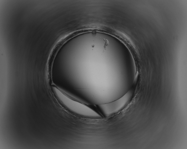 X0000095921172200801111229