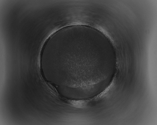 X0000095921173200801111229