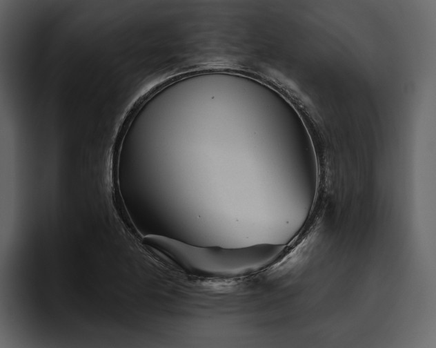 X0000095921174200801111229