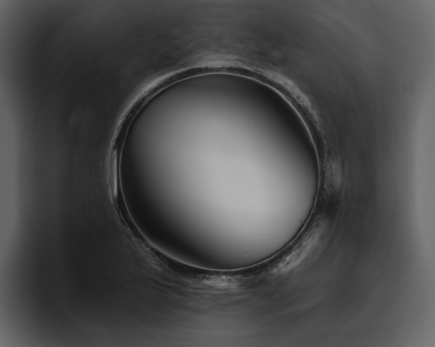 X0000095921175200801111229