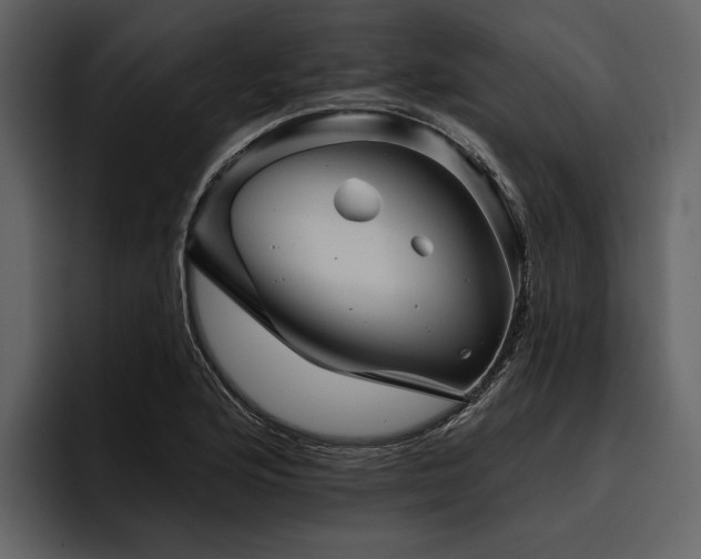 X0000095921176200801111229
