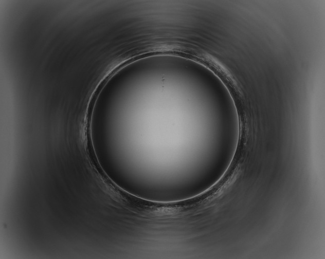 X0000095921178200801111229