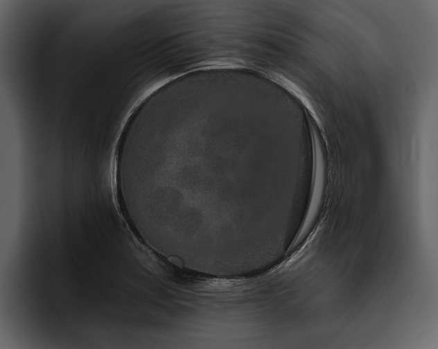 X0000095921179200801111229