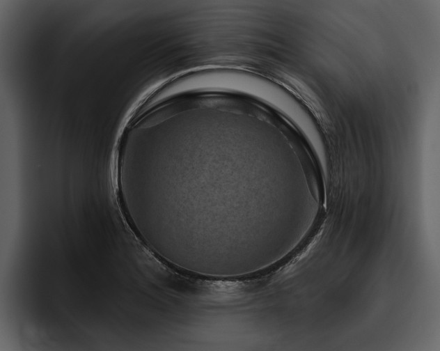 X0000095921180200801111229
