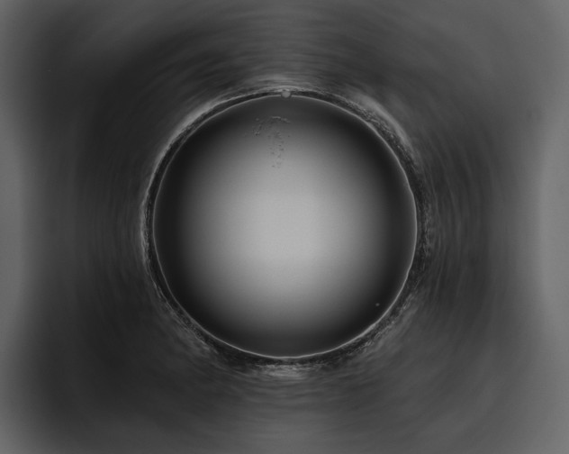 X0000095921182200801111229