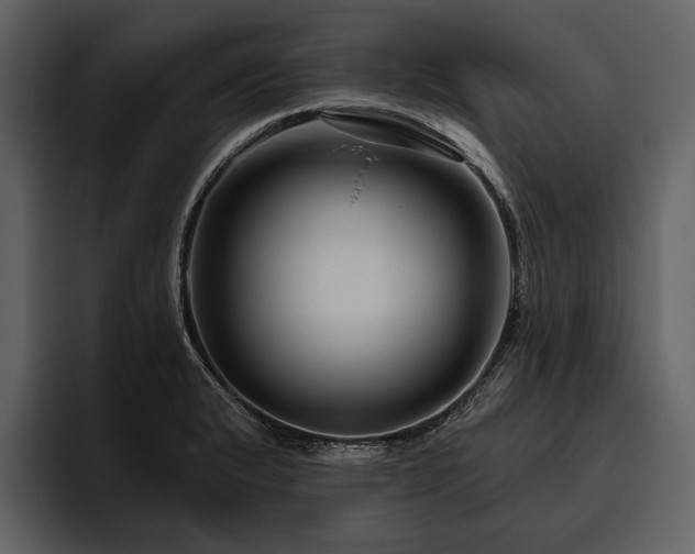 X0000095921183200801111229