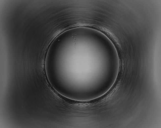 X0000095921185200801111229