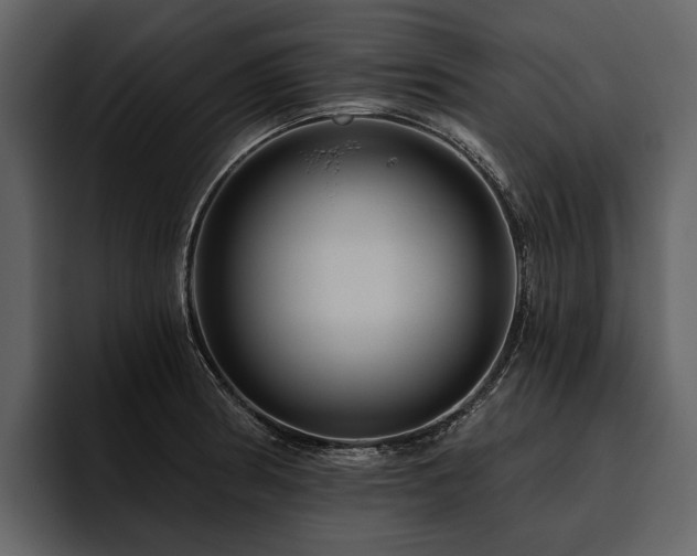 X0000095921186200801111229