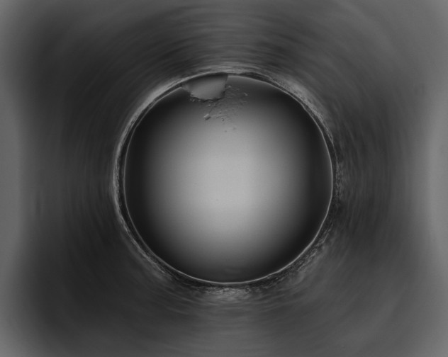 X0000095921187200801111229