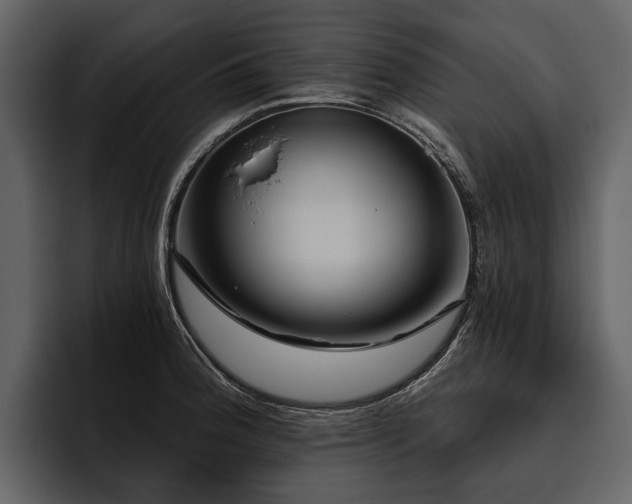X0000095921188200801111229