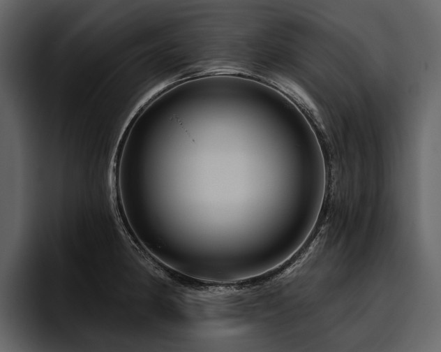 X0000095921190200801111229