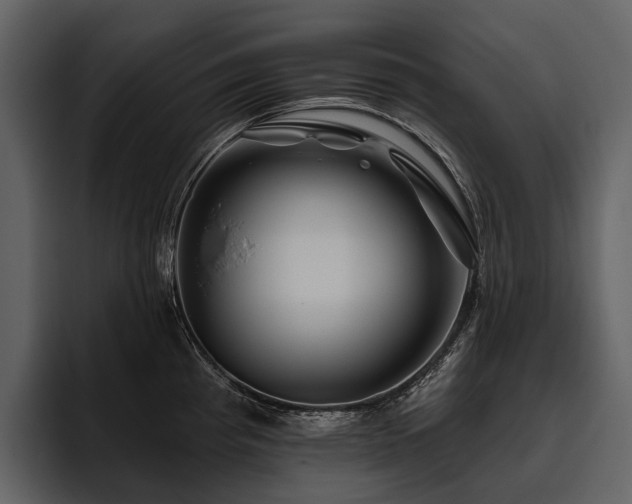 X0000095921193200801111229