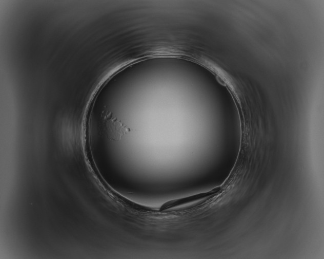 X0000095921195200801111229