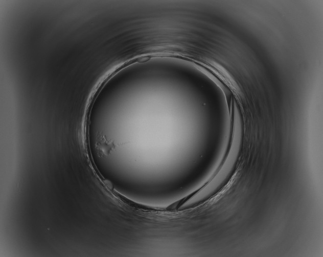 X0000095921196200801111229
