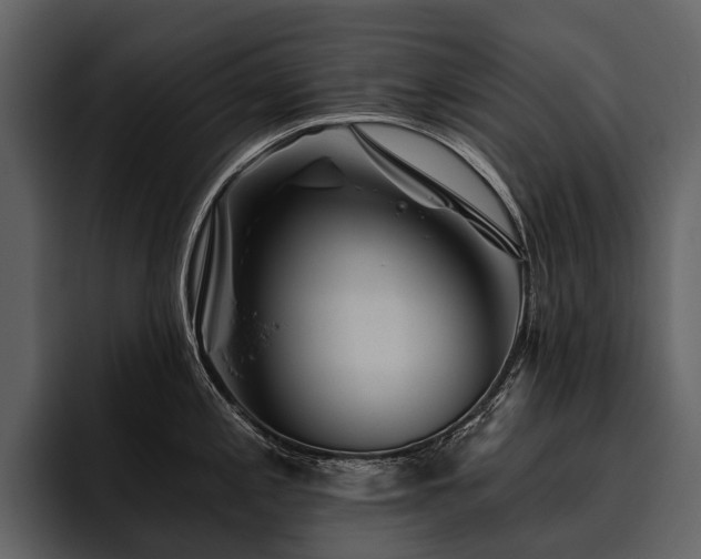 X0000095921197200801111229