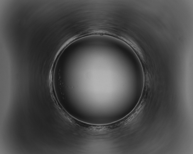 X0000095921198200801111229