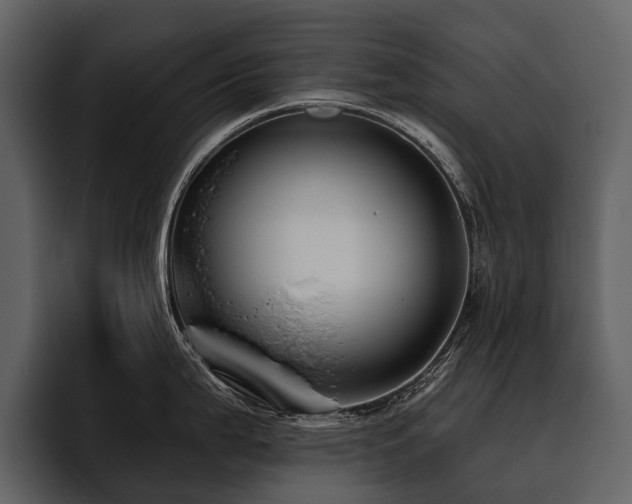 X0000095921199200801111229