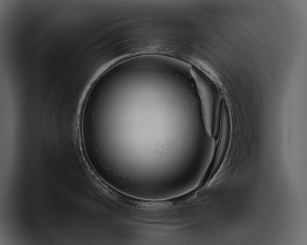 X0000095921200200801111229