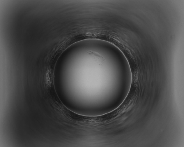 X0000095921202200801111228
