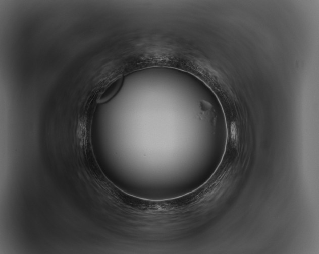 X0000095921203200801111228