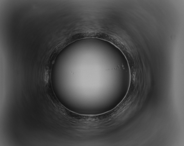X0000095921204200801111228