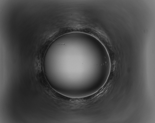 X0000095921205200801111228