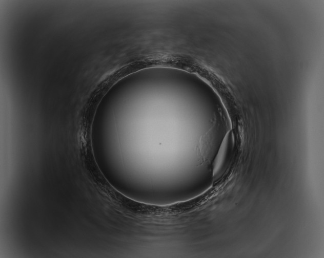 X0000095921206200801111228