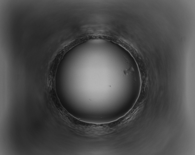 X0000095921207200801111228