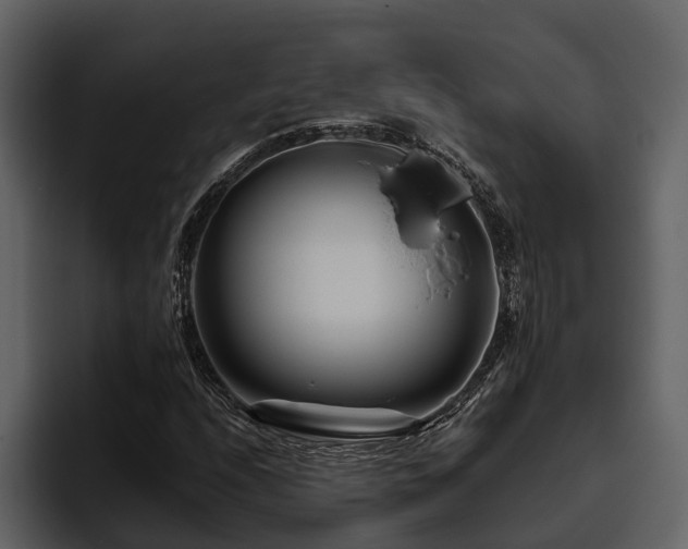 X0000095921208200801111228