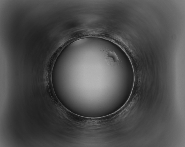 X0000095921211200801111228
