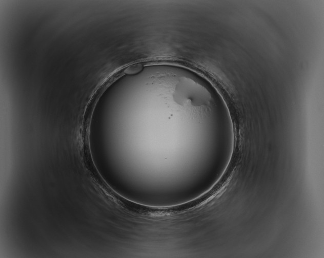 X0000095921212200801111228