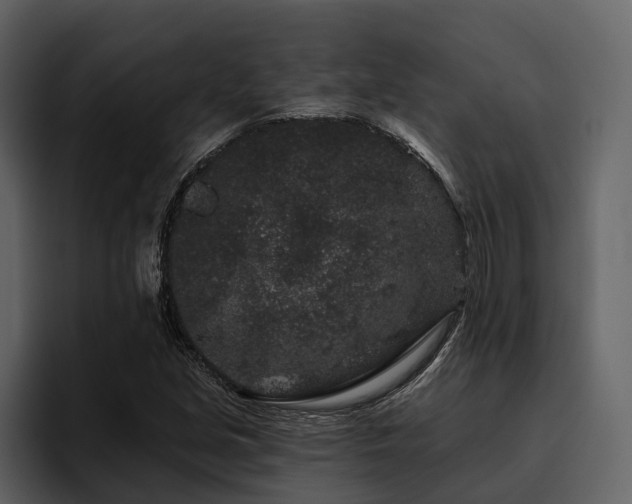 X0000095921213200801111228